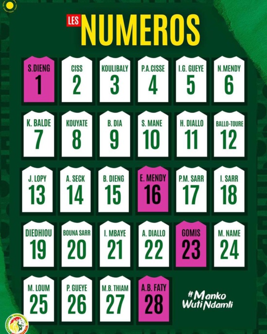 CAN 2021 : les numéros officiels des Lions publiés CAN 2021 : les numéros officiels des Lions publiés