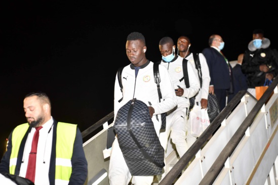 Les Lions sont arrivés au Caire