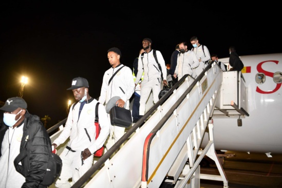 Les Lions sont arrivés au Caire Les Lions sont arrivés au Caire