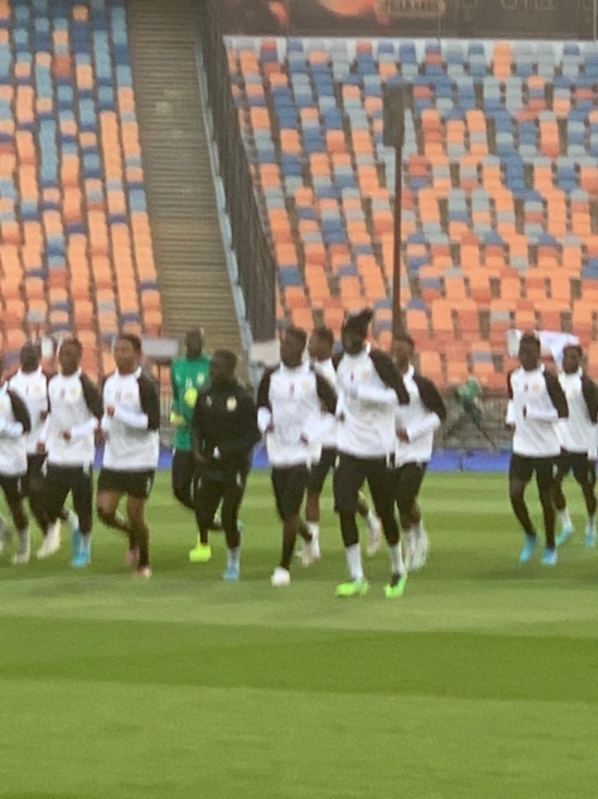 Caire: Découvrez la première séance d'entrainement des Lions Caire: Découvrez la première séance d'entrainement des Lions