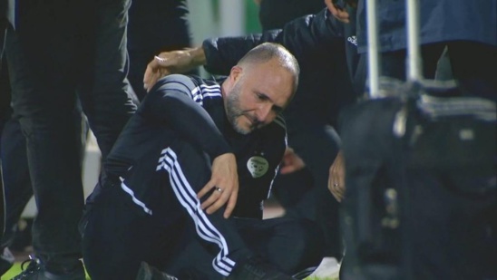 Algérie : Démission de tout le bureau fédéral, Belmadi reste ! Algérie : Démission de tout le bureau fédéral, Belmadi reste !