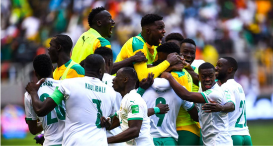 Le pire et le meilleur tirage au sort possible pour les Lions Le pire et le meilleur tirage au sort possible pour les Lions