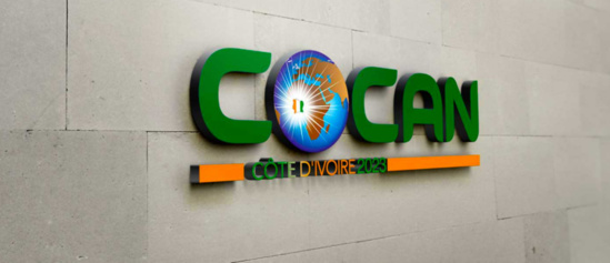 CAN 2023 : vers un report de la compétition ? CAN 2023 : vers un report de la compétition ?