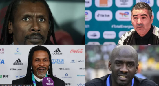 Qatar 2022 : pour la première fois, quatre sélectionneurs locaux mènent les équipes africaines au Mondial