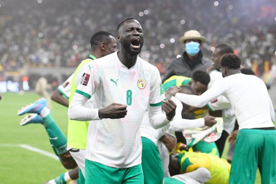 Classement Fifa : Le Sénégal retrouve la 18e place mondiale et reste leader d'Afrique