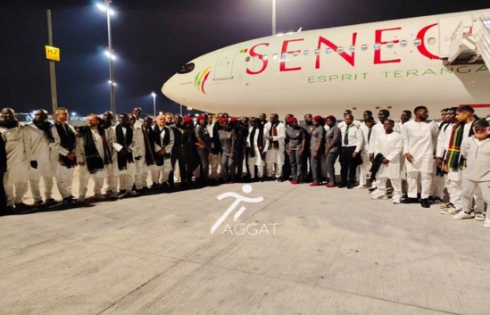 Qatar 2022: Les Lions débarquent à Doha avec 3 tonnes de matériels Qatar 2022: Les Lions débarquent à Doha avec 3 tonnes de matériels