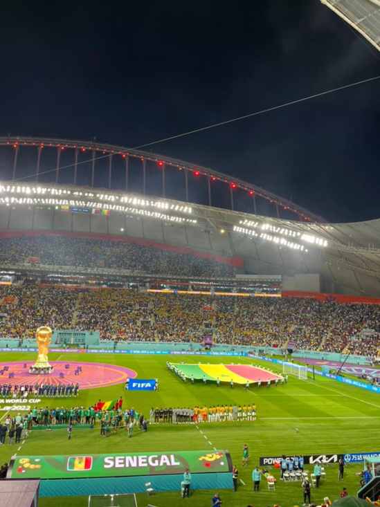 Qualification des Lions en 8eme au Mondial: L’explosion de joie chez les Sénégalais au Qatar Qualification des Lions en 8eme au Mondial: L’explosion de joie chez les Sénégalais au Qatar