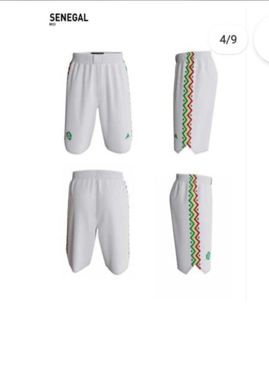 Basketball: Les Lions désormais habillés par Adidas (IMAGES) Basketball: Les Lions désormais habillés par Adidas (IMAGES)