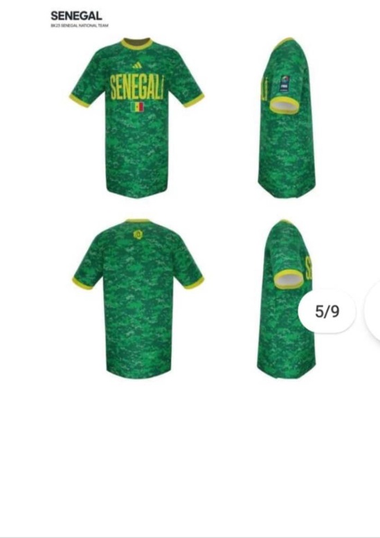 Basketball: Les Lions désormais habillés par Adidas (IMAGES) Basketball: Les Lions désormais habillés par Adidas (IMAGES)