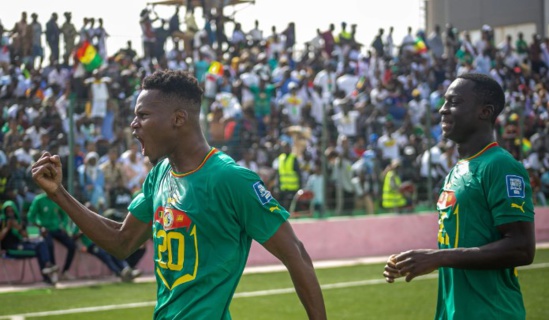 Mondial 2024 (Q) : le Sénégal reprend provisoirement la tête du groupe Mondial 2024 (Q) : le Sénégal reprend provisoirement la tête du groupe