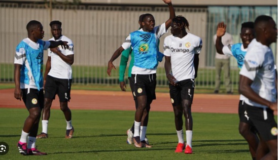 CAN 2025 (Q) : 12 Lions présents au premier galop CAN 2025 (Q) : 12 Lions présents au premier galop