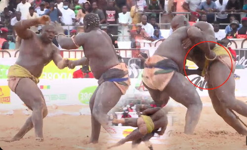 Lutte : Sa Thiès confirme sa suprématie sur Zarco Lutte : Sa Thiès confirme sa suprématie sur Zarco