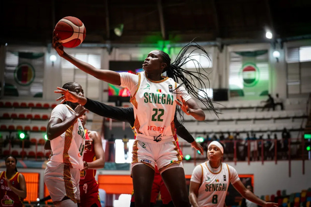 Afrobasket 2025 : le Sénégal en démonstration contre la Guinée Afrobasket 2025 : le Sénégal en démonstration contre la Guinée