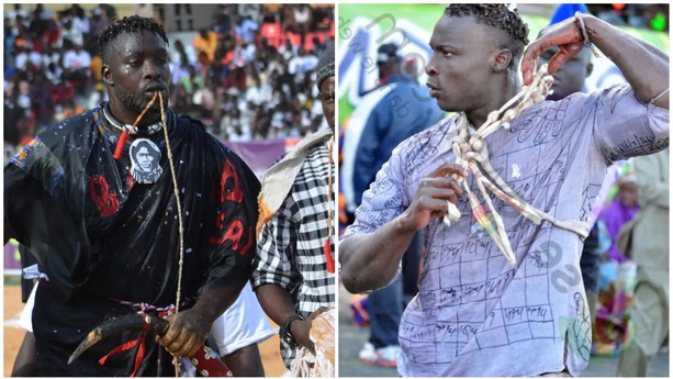 Ama Baldé vs Siteu : Un Combat de Titans en Vue Ama Baldé vs Siteu : Un Combat de Titans en Vue