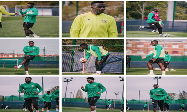 Amical face au Perou: le group des Lions au complet