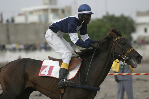 COURSES HIPPIQUES-16e JOURNEE: Qui pour remporter le Jackpot?