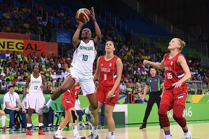 AFROBASKET FEMININ: Les Lionnes signent un deuxième succès en amical
