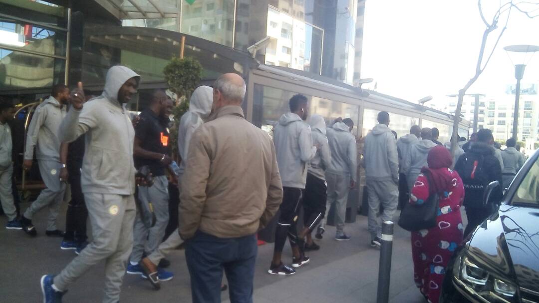   Arrêt sur image : Promenade des lions sur le boulevard d’Anfan de Casablanca