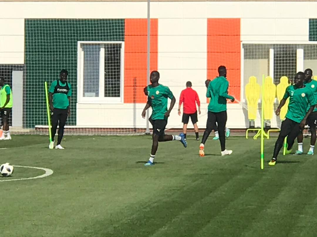 Premier galop  d’entrainement à Kaluga : Les lions dans une  ambiance décontractée