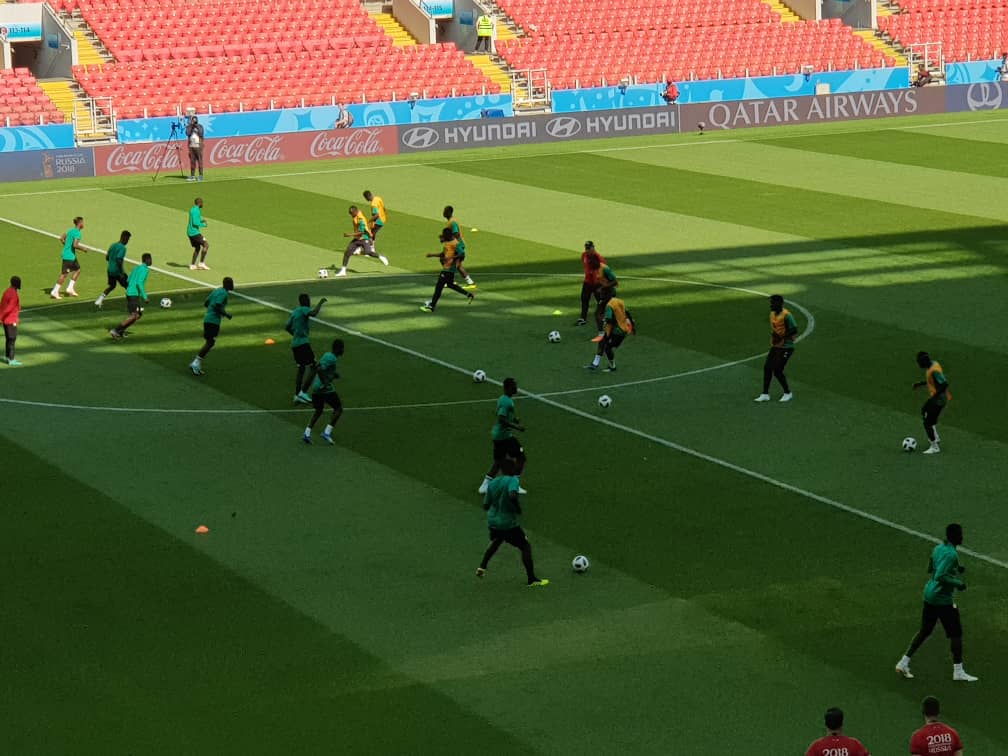 Stade du Spartak de Moscou : Les lions en reconnaissance du terrain