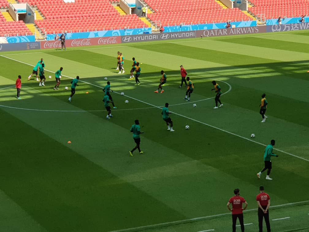 Stade du Spartak de Moscou : Les lions en reconnaissance du terrain