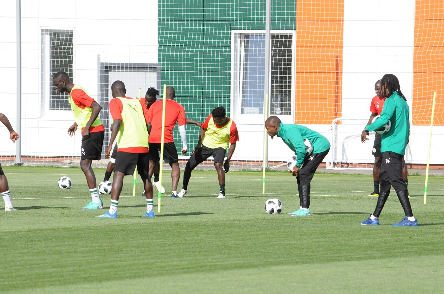 Premier galop des lions après la victoire sur la Pologne : Le Japon en ligne de mire 