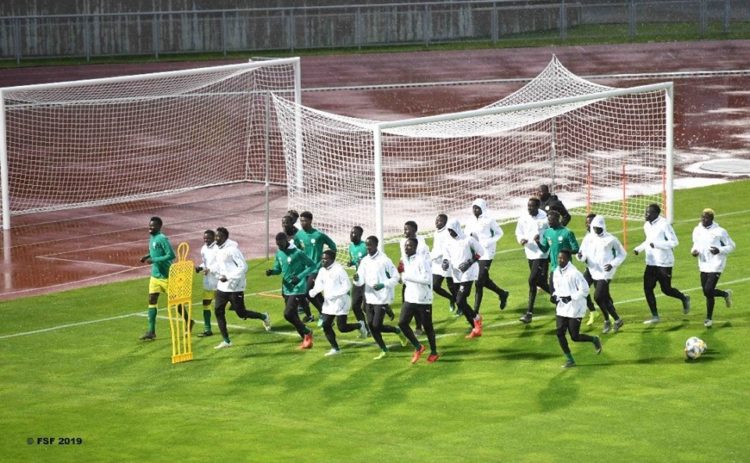 Coupe du monde Pologne : Les lionceaux ont effectué leur première séance d’entrainement à Lublin