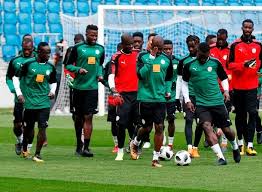Regroupement à Saly :  19 « Lions »  présents à  l'hôtel Rhino de Saly
