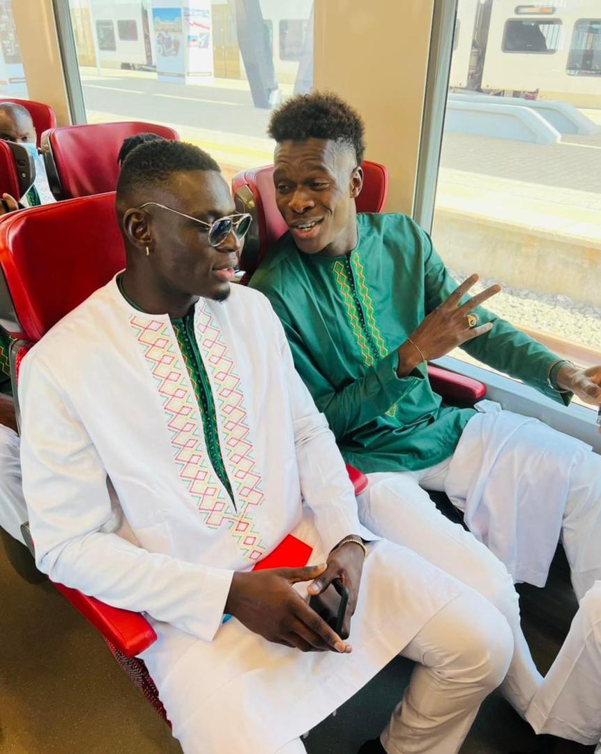  Direction palais : Les lions à bord du TER