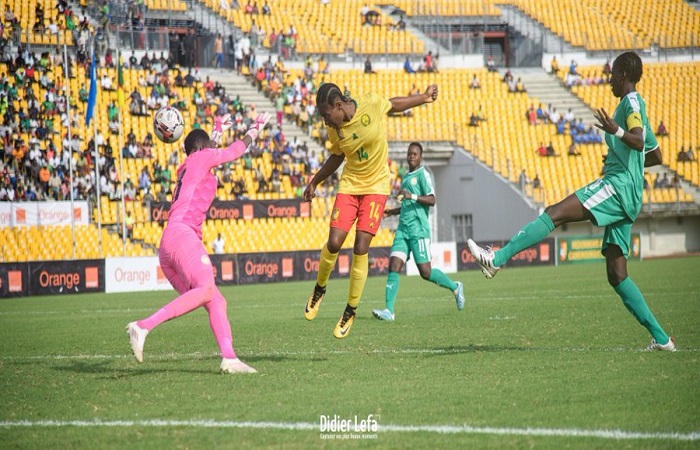 Match amical : le Sénégal battu par le Cameroun (1-0)