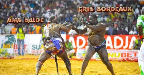 Ama, Gris, Ada Fass et Gouye Gui : le CNG amasse 5.210.000 F de sanctions financières