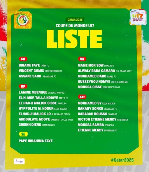 Coupe du monde U17: la liste des Lionceaux publiés