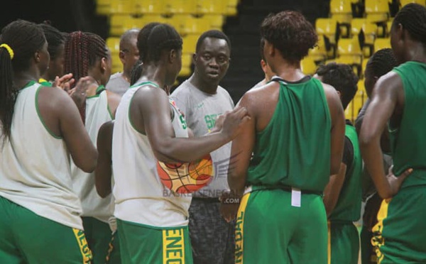 FSB/Programme du tournoi de préparation de l’Afrobasket 2019 : les Lions retrouvent leurs adversaires de poule, les Eléphants