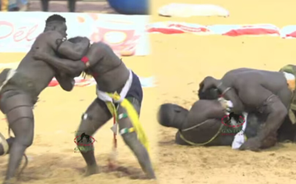 Général Malika démolit Alioune Sèye 2 en 6 mn 5 secondes