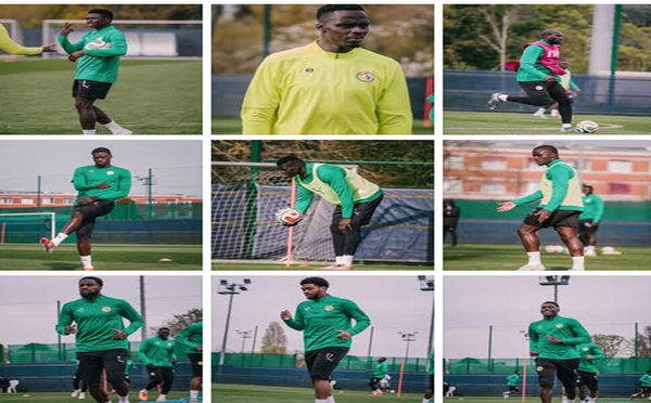 Amical face au Perou: le group des Lions au complet