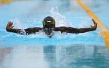 NATATION- CHAMPIONNATS  INTERCLUBS: ASFA et ACD maîtres du petit bassin