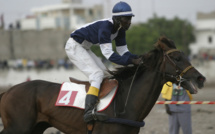 COURSES HIPPIQUES-16e JOURNEE: Qui pour remporter le Jackpot?