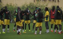 Match contre le Cap Vert : Les lions entrent en regroupement à partir du 2 octobre