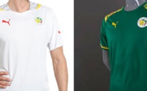 Urgent: Puma rhabille les "Lions"