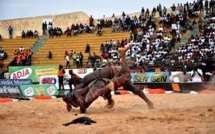 Lutte : Les combats du week-end reportés à une date ultérieure