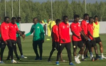Deuxième galop : Les lions s’ouvrent au public de Kaluga
