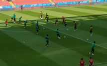 Stade du Spartak de Moscou : Les lions en reconnaissance du terrain