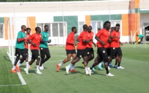 Les lions attendus à Ekaterinbourg, ce vendredi