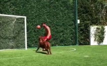 Quand Messi fait des misères à son chien (vidéo)