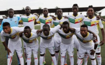 Bénin : la Fédération veut changer le nom (les Ecureuils) de l’équipe nationale