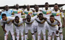 Bénin : la Fédération veut changer le nom (les Ecureuils) de l’équipe nationale