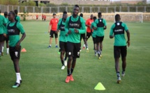 CAN 2019 :  les Lions surveillés par GPS