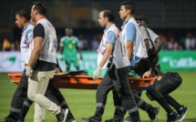 Infirmerie des Lions : Deux nouveaux cas