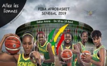 Tirage des poules de l’Afrobasket Féminin : Sénégal dans la poule A avec l’Egypte et la Cote d’Ivoire
