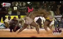 Saison lutte 2019/2020 : Ouverture officielle le 15 octobre